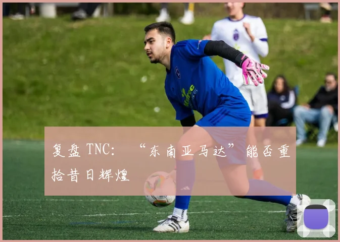 复盘 TNC： “东南亚马达”能否重拾昔日辉煌