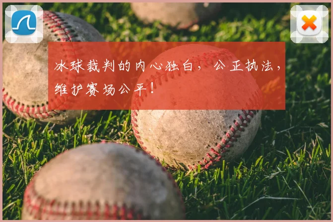 冰球裁判的内心独白，公正执法，维护赛场公平！