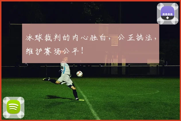 冰球裁判的内心独白，公正执法，维护赛场公平！