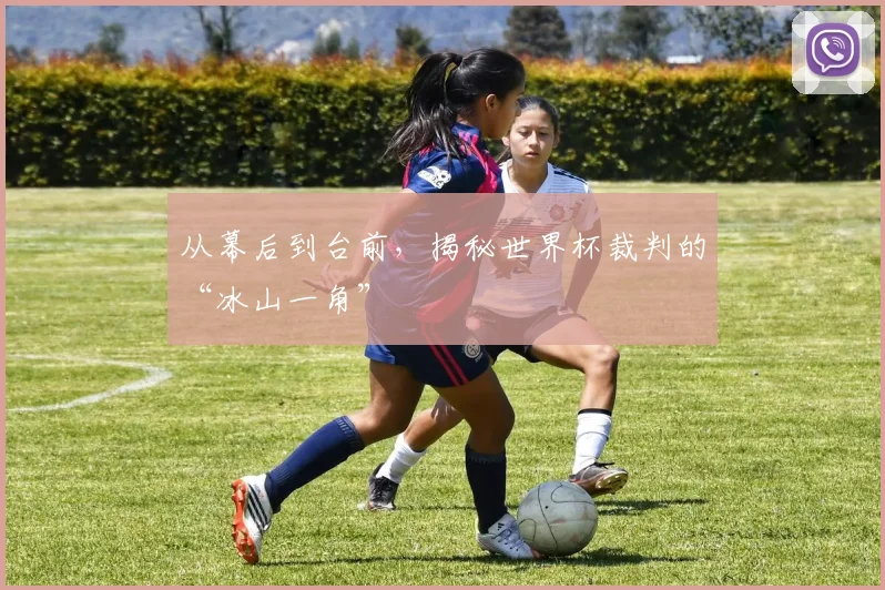 从幕后到台前，揭秘世界杯裁判的“冰山一角”